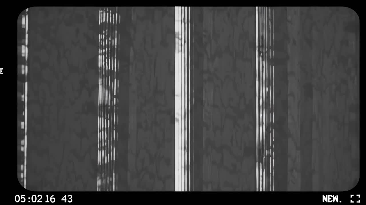 Monochrome video frame showing vertical blinds casting shadows