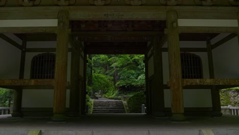 mysterious shrine inside deep lush forest - cinematic push in