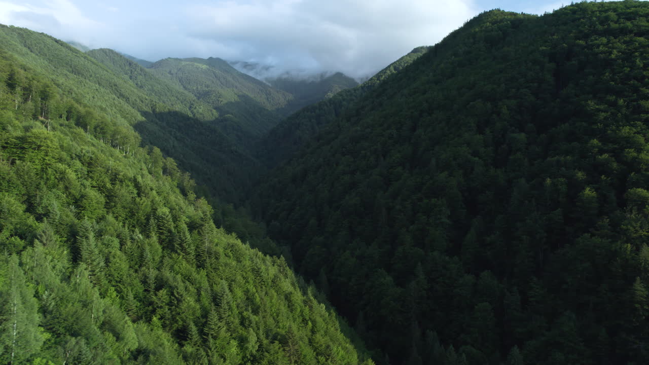 Aerial lateral slider, showcasing a mountain valley adorned with green fir forests illuminated by sunlight and cast in shadow