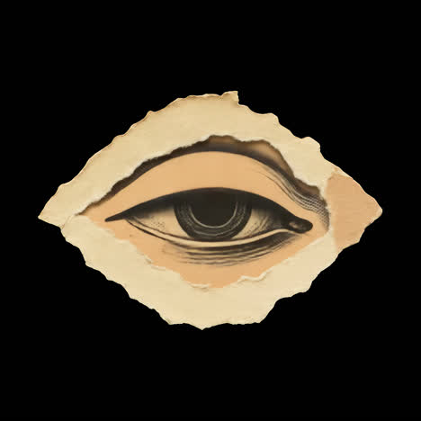 artistic torn paper eye animation isolated asset, transparent 4k video, alpha channel, prores 4444