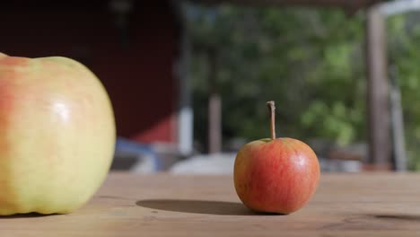 manzana pequeña contra manzana grande, sobre la mesa en un día soleado