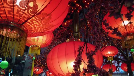 chinese new year red paper lantern decorations with sakura trees