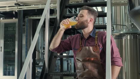 young brewer wearing a leather apron is tasting beer at a modern brewery