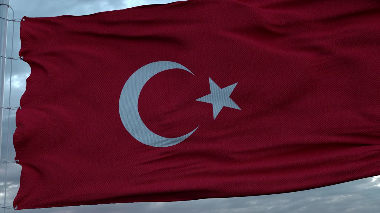 깊은 아름다운 구름 하늘에 대항하여 바람에 흔들리는 칠면조의 발