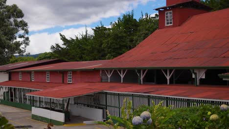 coffee factory, old building, old building, old building, coffee drying outdoors, coffee plantation, dried coffee beans, tourist, red roof