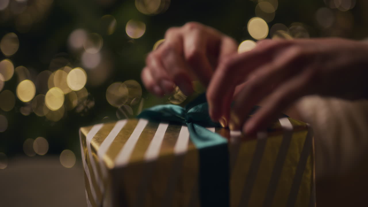 휴일 동안 반이는 크리스마스 트리의 배경에 크리스마스 선물을 포장하는 것