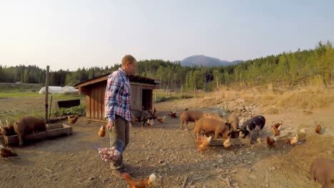 farmer holding eggs in the basket 4k