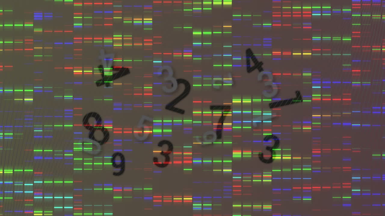 숫자와 함께 검은색 배경에 데이터 처리의 애니메이션