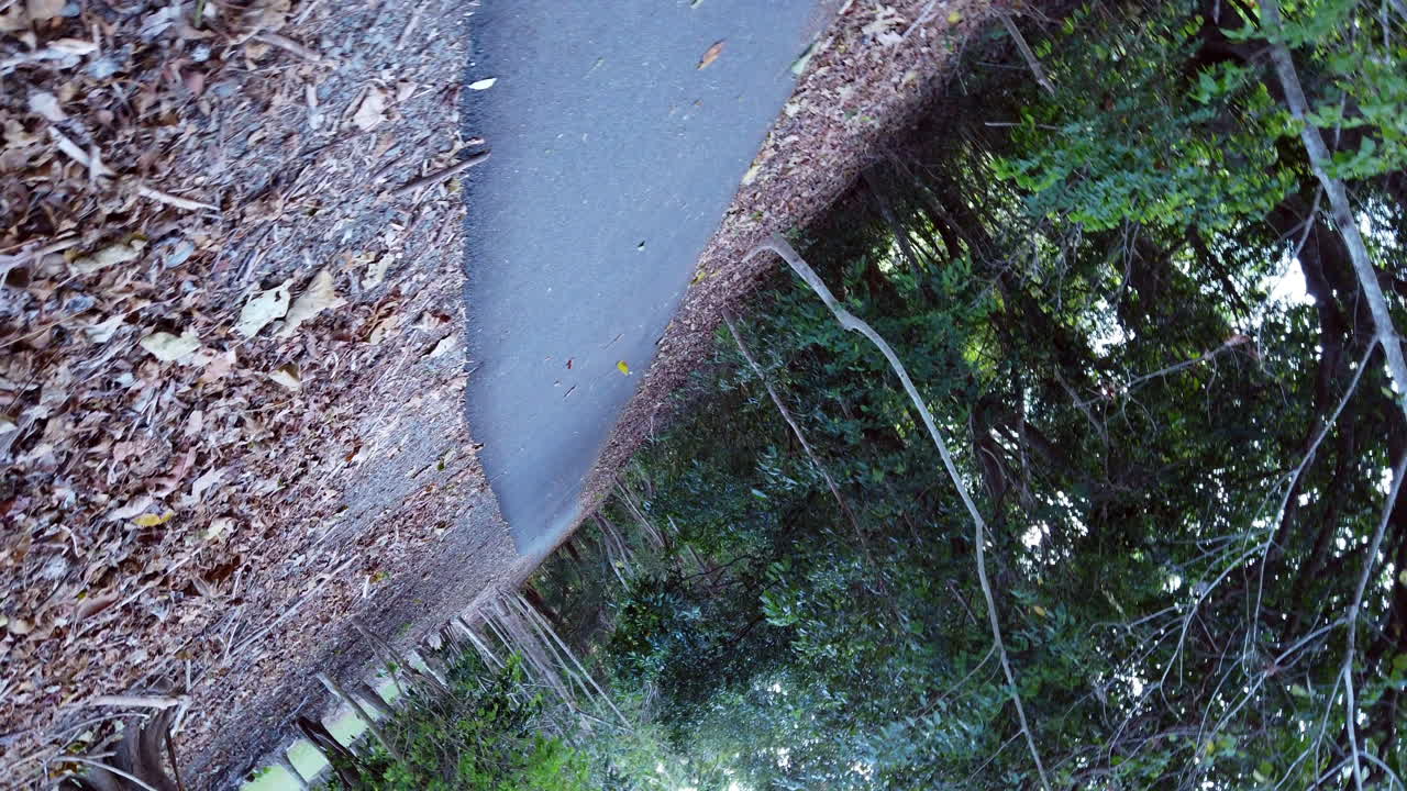 anticlockwise rotation of walking path