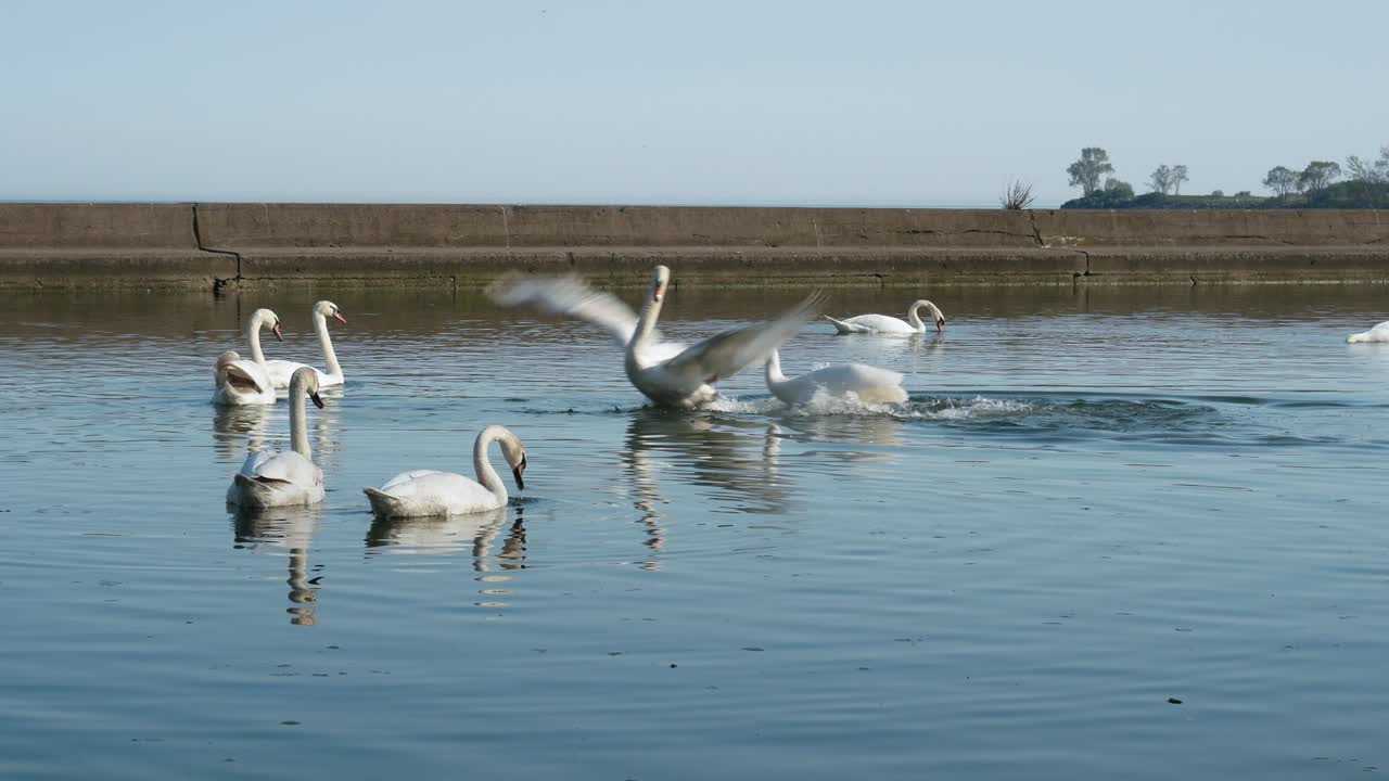 canada lake ontario summer water lakeshore toronto etobicoke water humber