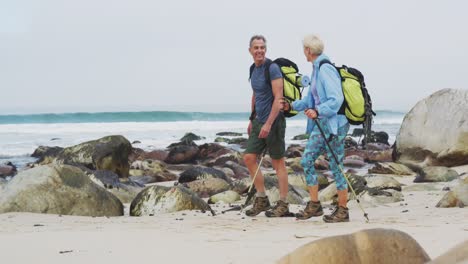 älteres wandererpaar mit rucksack und wanderstangen spricht miteinander und geht beim wandern