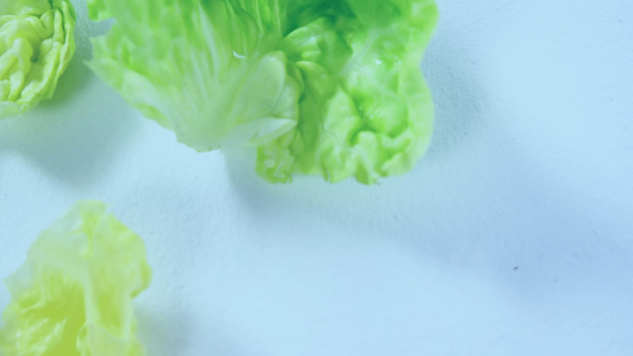 Timeline updating, HUD sweeping over lettuce, waveform pulsing, nodes linking, visualizing yield