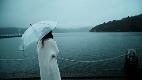 woman with umbrella at lake in japan