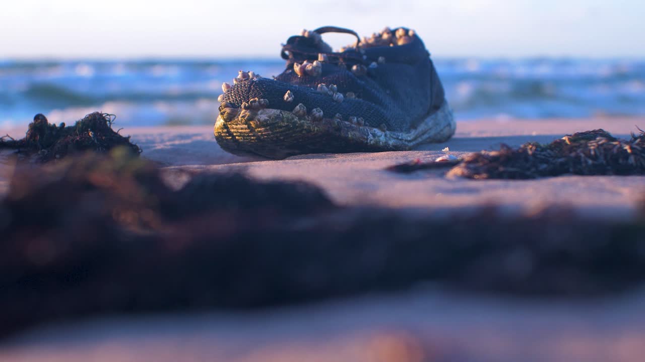 zapato viejo cubierto de conchas marinas en la orilla, basura y basura en una playa vacía de arena blanca del mar báltico, problema de contaminación ambiental, hora dorada luz por la noche, plano medio