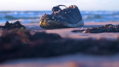 Old-shoe-covered-with-seashells-on-the-shore,-trash-and-waste-litter-on-an-empty-Baltic-sea-white-sand-beach,-environmental-pollution-problem,-golden-hour-light-on-evening,-medium-shot