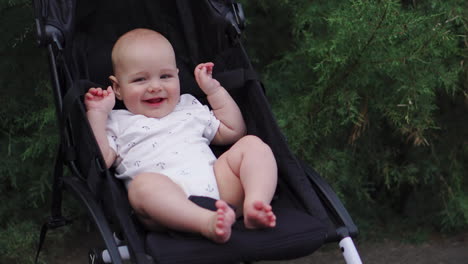 baby in sitting stroller on nature