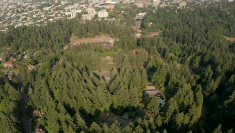 Pan-Up-Revela-Una-Toma-Aérea-De-Portland,-Oregon,-Desde-El-Parque-Forestal.