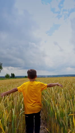 little boy on yellow meadow. child in yellow t-shirt runs and has fun in the wheat field in summer day. kid playing outdoors. vertical video