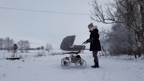 single mother release baby carriage brake system and continue walk