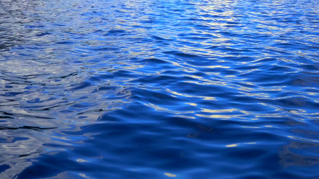 배경으로 파란 물 물결.