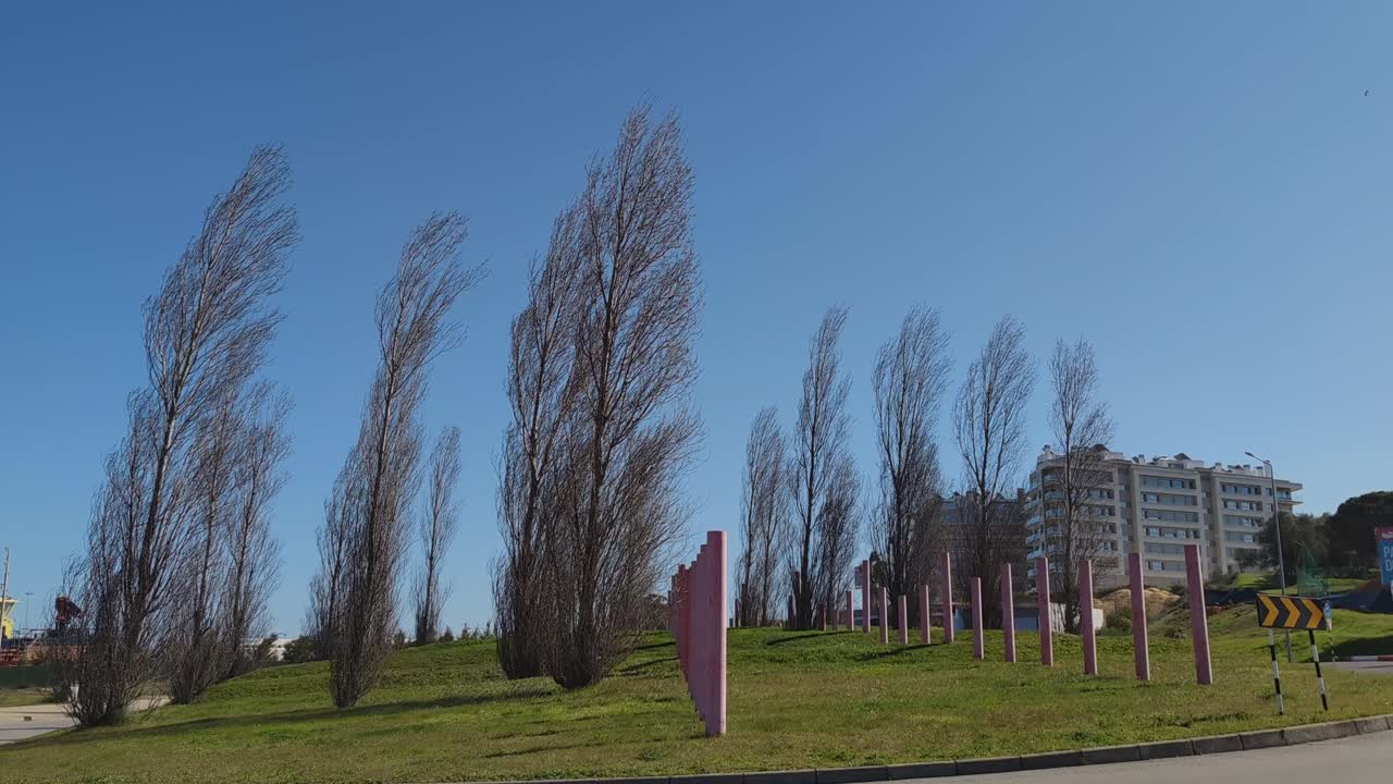 강한 돌풍에 의해 밀려난 로터리의 키 큰 나무들, 스톰 유니스