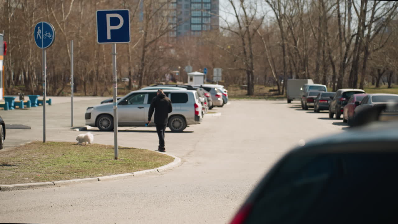 Close view of budding tree branches in an urban parking lot, with modern city buildings and parked cars in the background, and people walking
