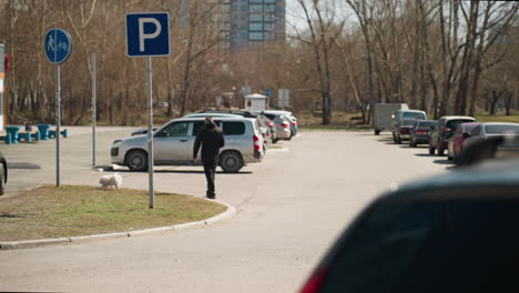 close view of budding tree branches in an urban parking lot, with modern city buildings and parked cars in the background, and people walking