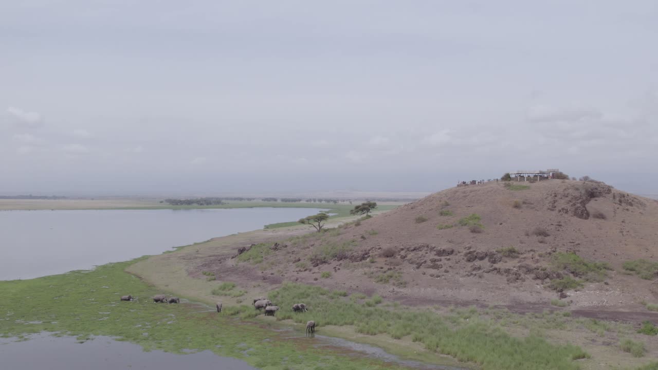 코끼리 와 전망대 가 있는 아프리카 사바나 풍경