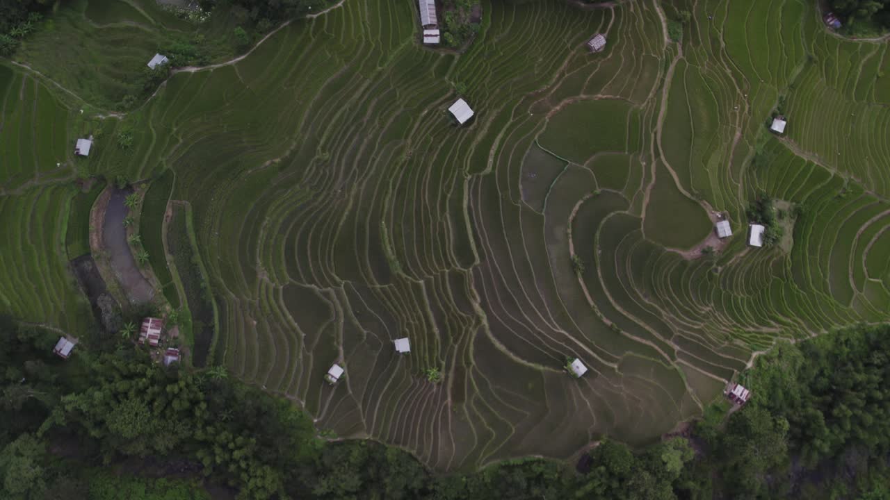 toma aérea de campos en nagaland donde la gente cultiva en las colinas
