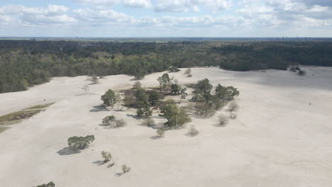 flying towards a group of trees surrounded by beautiful sand dunes