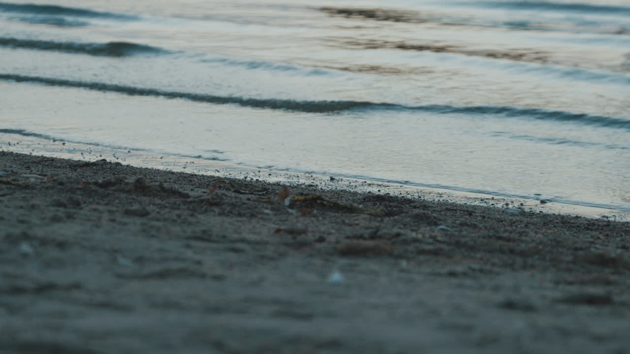 Little waves at shore