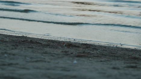 little waves at shore