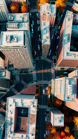 aerial view of city intersection in autumn