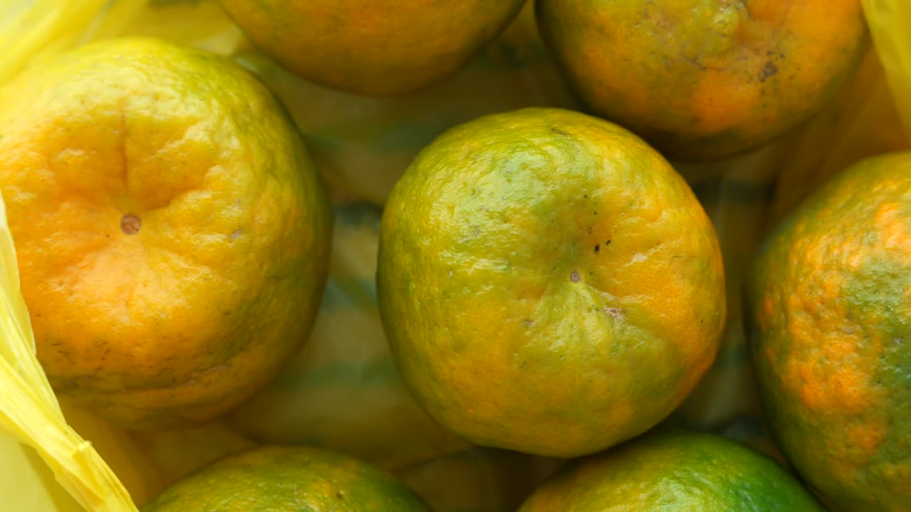 신선한 만다린 오렌지