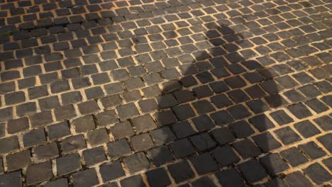 A-man-casting-his-own-shadow-while-standing-on-a-brick-street-pavement-as-other-people-pass-by-casting-their-own-shadows-as-well