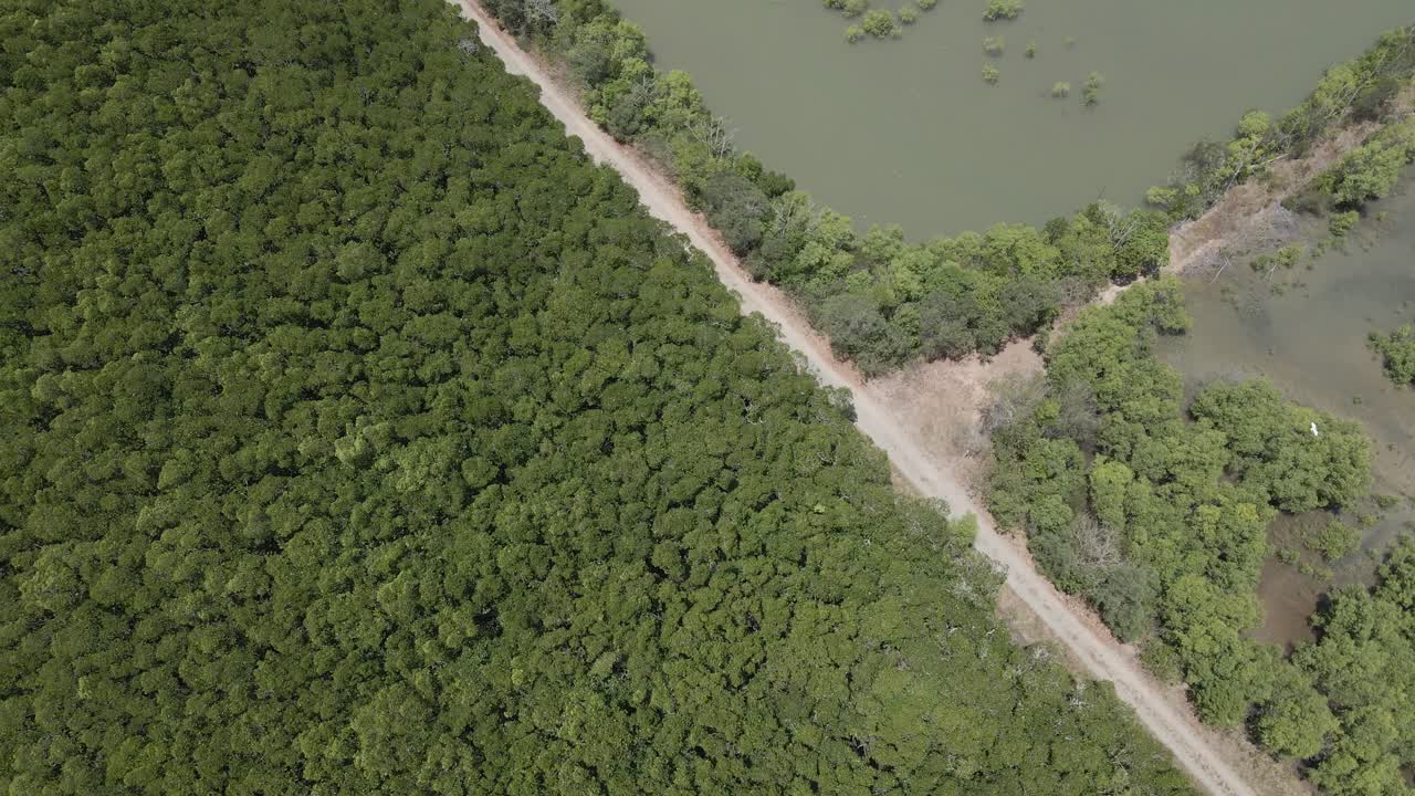 화창한 날 퀸즐랜드 북부 케언즈 근처 트리니티 삼림 보호구역의 숲이 우거진 풍경과 습지