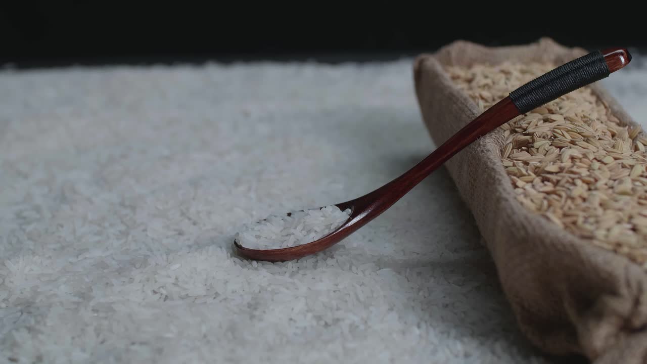 Long White Rice Seeds Panning In Slow Motion. Main Food Of Asian People And Important Ingredient For Making An Alcohol Drinks
