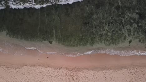 Aerial-view-seen-from-above,-waves-crashing-on-the-white-sand-of-Watu-Karung-beach,-Pacitan,-Indonesia