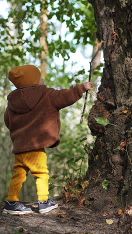 Baby boy in yellow cap, pants and brown jacket plays in the park. Kid hits the wide tree trunk with a stick. Vertical video