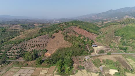 Campos-Agrícolas-A-Vista-De-Pájaro-Utilizando-La-Técnica-De-Cultivo-Migratorio