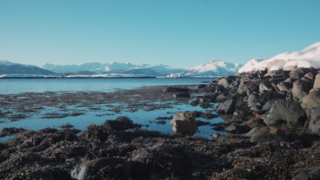 ocean view in norway with snowy mountains in the distance under a clear blue sky, filmed from rocks