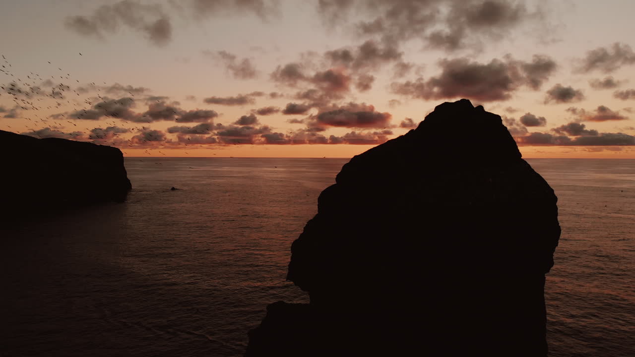 Birds Over the Sunset Ocean Cliffs