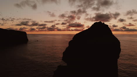 birds over the sunset ocean cliffs