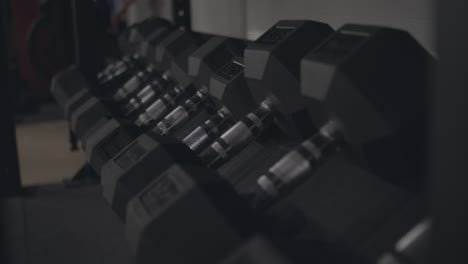 pesas en un gimnasio