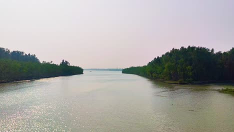 a view of sundarban mangrove forest along baleswar river in bangladesh