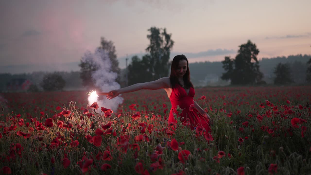 은 드레스를 입은 예쁜 갈색 소녀의 초상화 팝피 필드에서 빨간 불타는 신호 플레어와 함께 춤을 추고