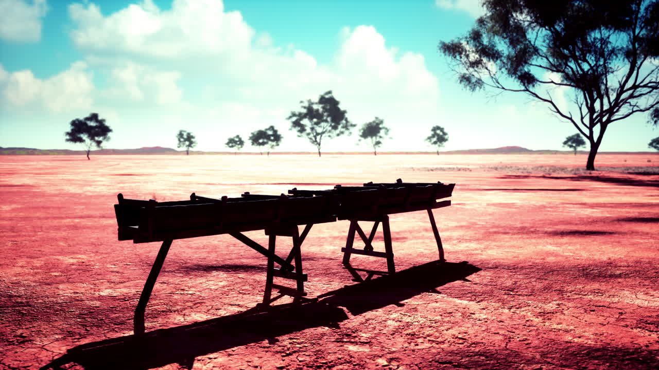 사바나 의 전통적 인 나무 수로