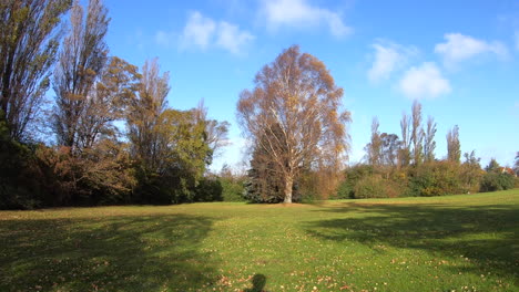 autumn time lapse on a cloudy day