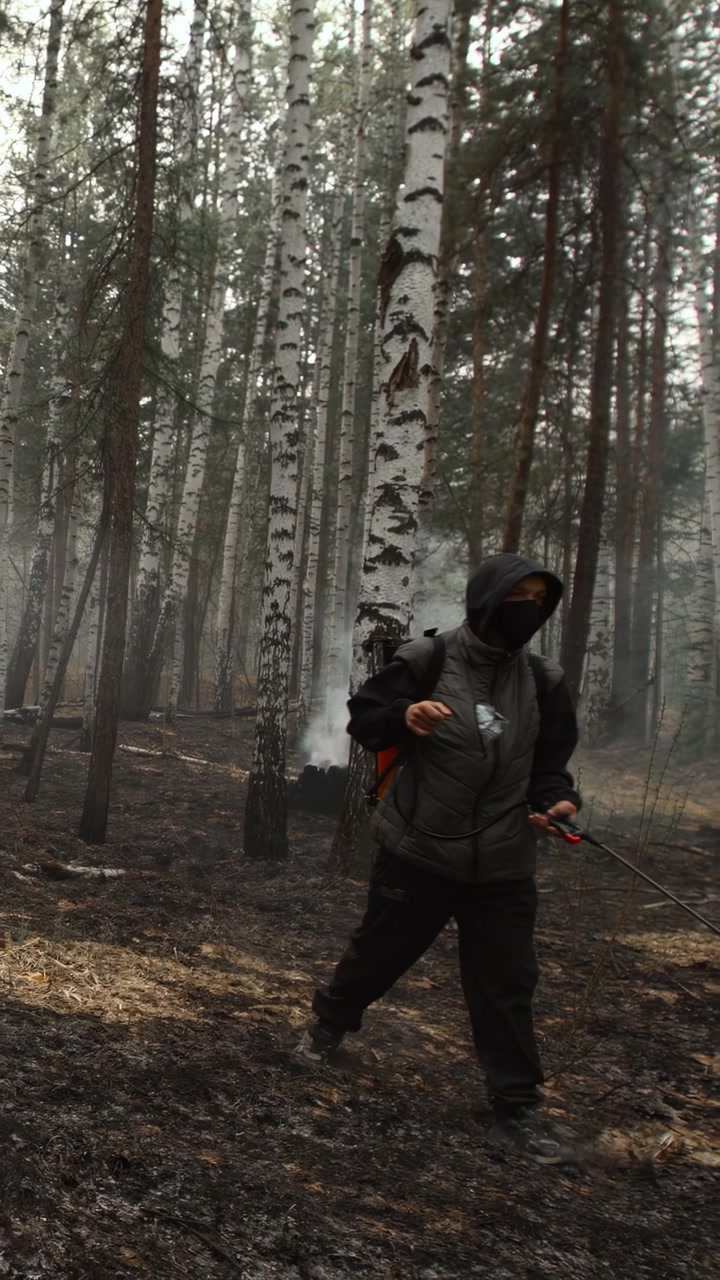 Brandmand inspicerer gløder i forkullet birkeskov med slange og rygsæk, lav røg og sveden jord.