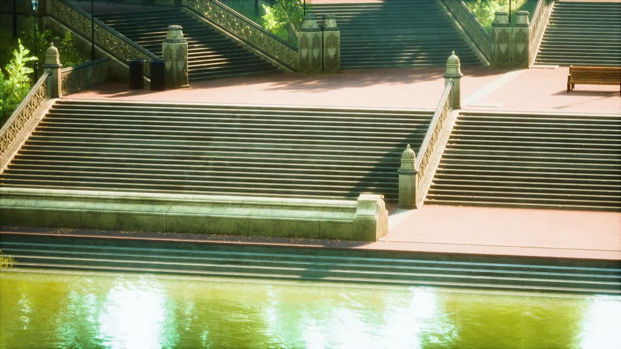 ⁇ 빛 속 의 울창 한 초록색 숲 공원 으로 둘러싸인 평화로운 연못